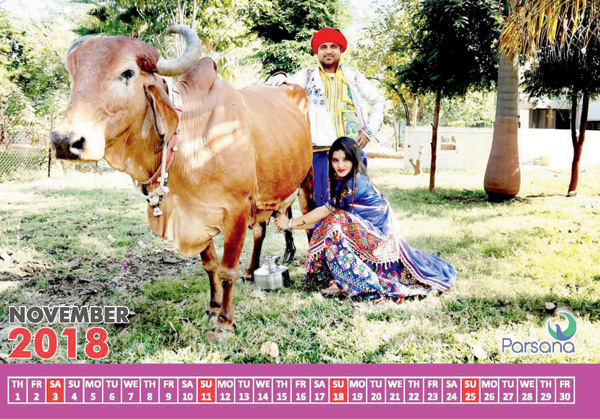 2801COW-CALENDER.jpg