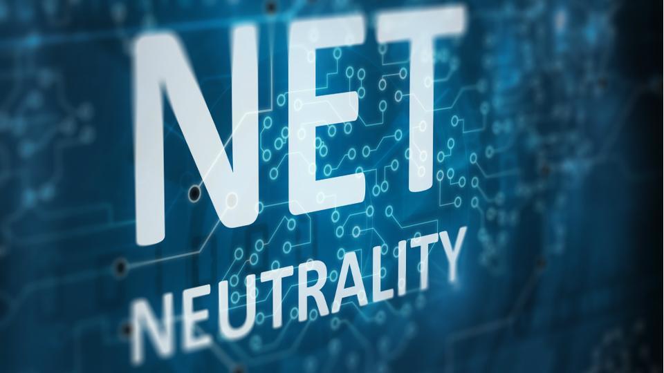 net.jpg