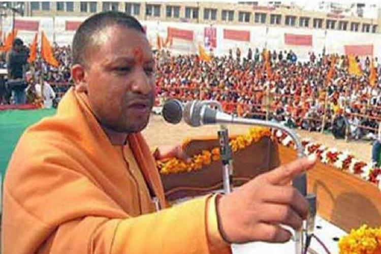 yogi.jpg