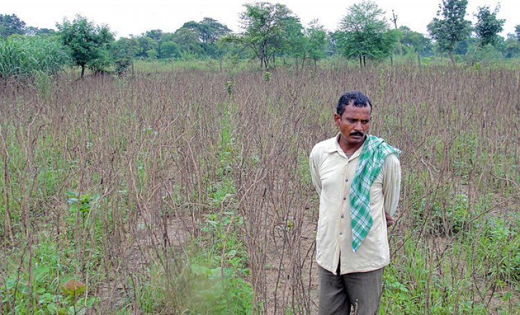 agri.jpg