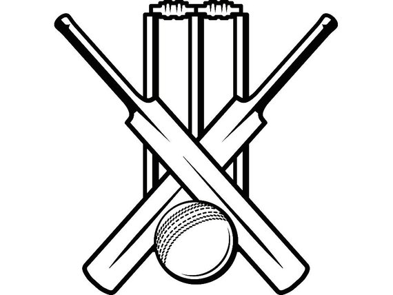 cricket_1.jpg