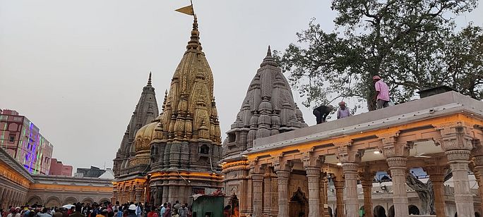 kashi.jpg