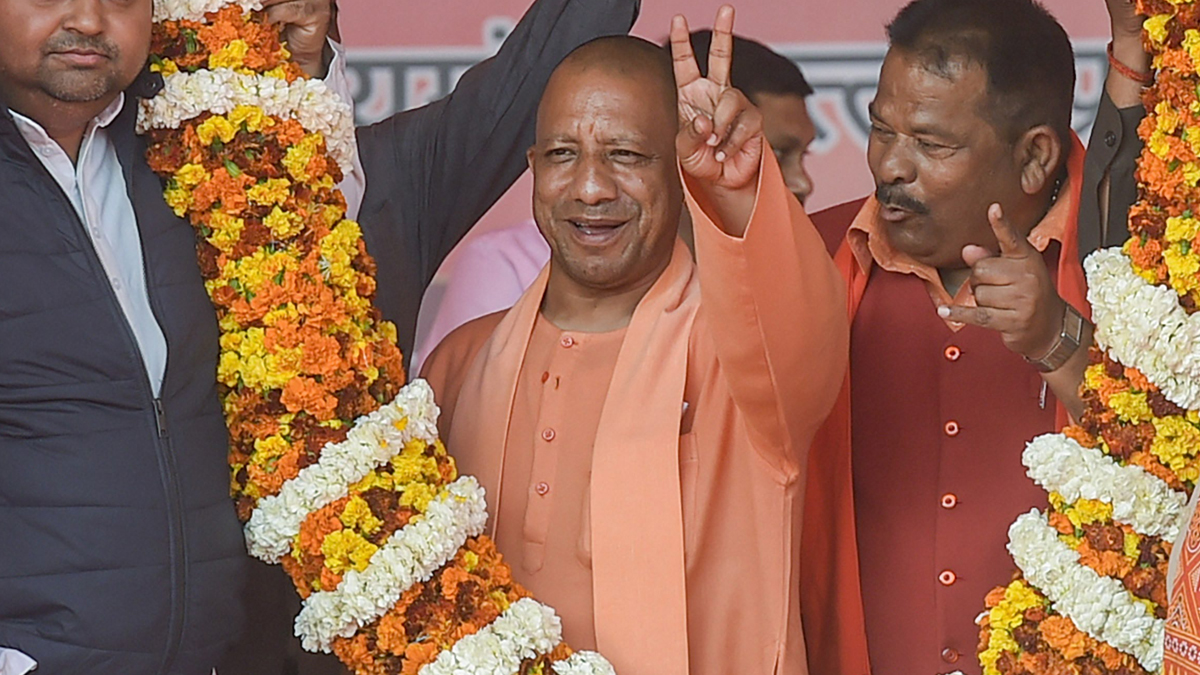 yogi.jpg